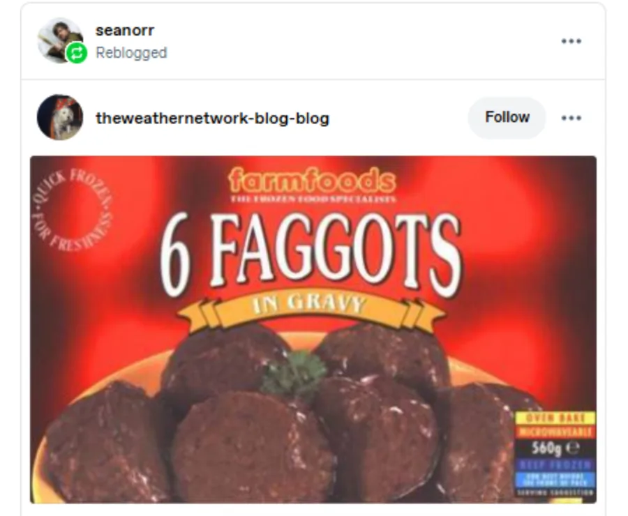 Sean Orr posted on : Reblogged on Tumblr: a packet of Farmfoods "6 FAGGOTS IN GRAVY"